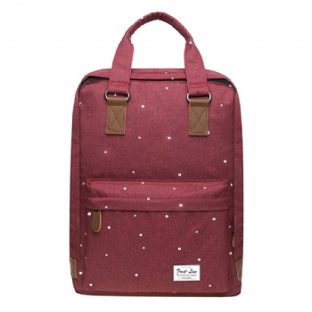 2-in-1 women's daypack travel tote backpack bag